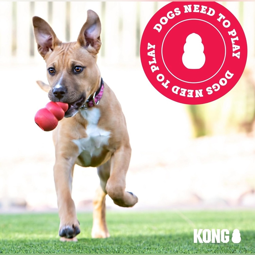 Bundle of 2 New KONG Puppy Toys | Pink & Red Colors | NWT - Picture 7 of 11